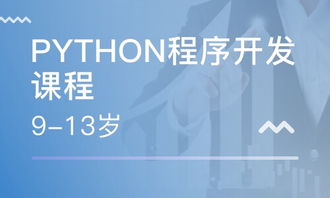 重慶南坪軟件開發(fā)培訓(xùn)指南 課程、選擇與職業(yè)發(fā)展